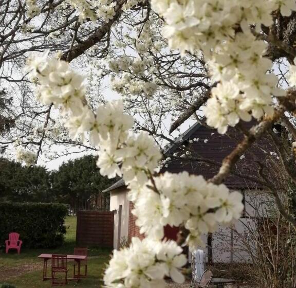 Дом 2 Спальни, La Grenouillere