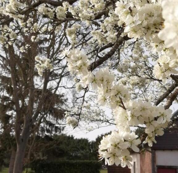 Дом 2 Спальни, La Grenouillere