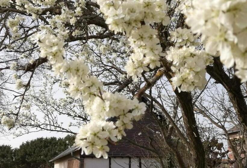 Дом 2 Спальни, La Grenouillere