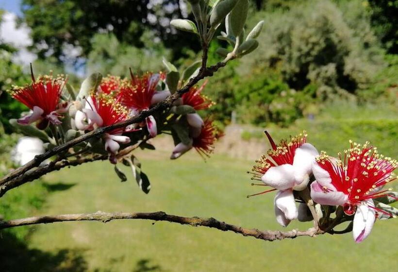 חדר סטנדרט, Poggiolindo B&b
