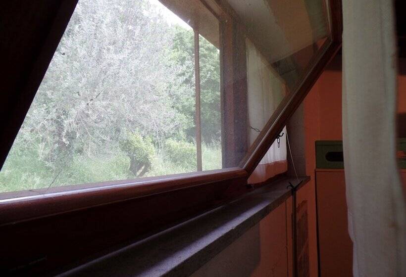 غرفة أساسية, Poggiolindo B&b