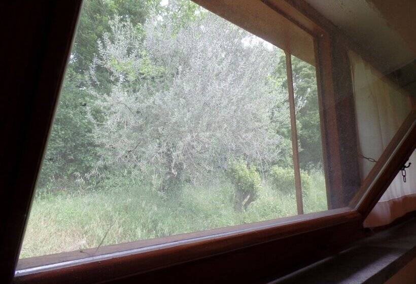 基本间, Poggiolindo B&b