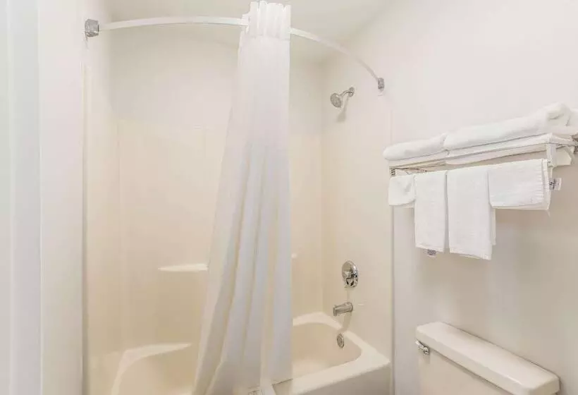 ２ダブルベッドのスタンダードルーム, Quality Inn Gallatinnashville Metro