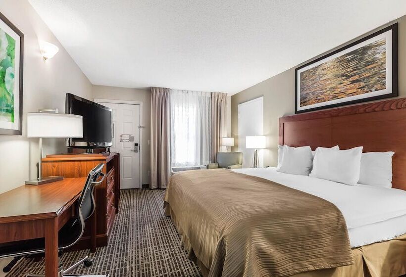 חדר סטנדרט שתי מיטות זוגיות, Quality Inn Gallatinnashville Metro