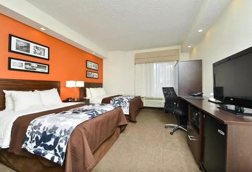 キングサイズベッドのスタンダードルーム, Sleep Inn & Suites At Concord Mills