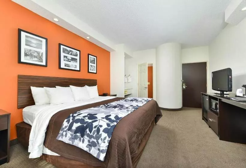 キングサイズベッドのスタンダードルーム, Sleep Inn & Suites At Concord Mills