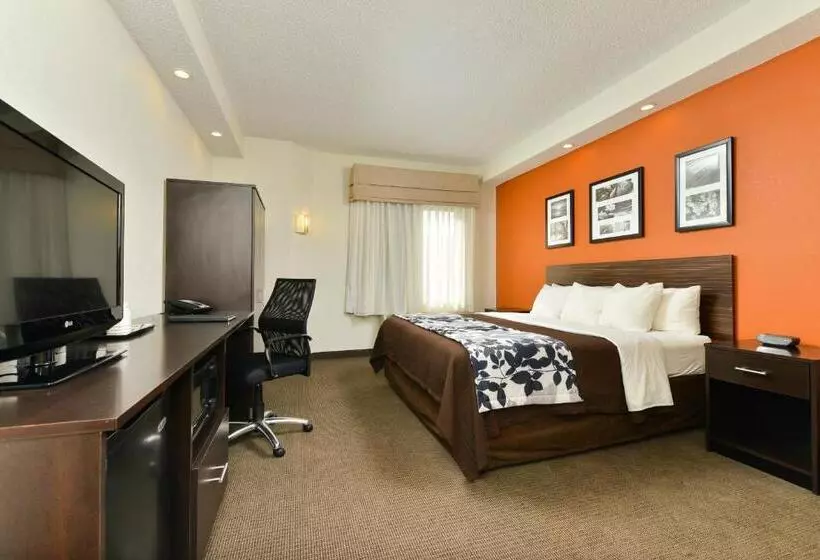 キングサイズベッドのスタンダードルーム, Sleep Inn & Suites At Concord Mills