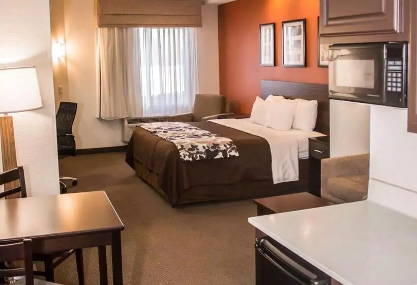 キングサイズベッドのスイートルーム, Sleep Inn & Suites At Concord Mills
