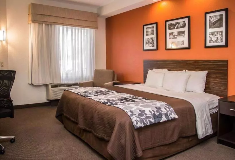 キングサイズベッドのスイートルーム, Sleep Inn & Suites At Concord Mills