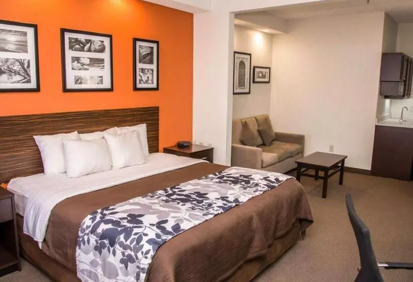 キングサイズベッドのスイートルーム, Sleep Inn & Suites At Concord Mills