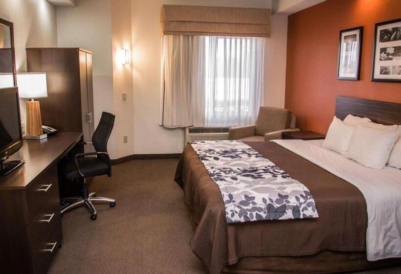 스위트 킹사이즈 침대, Sleep Inn & Suites At Concord Mills