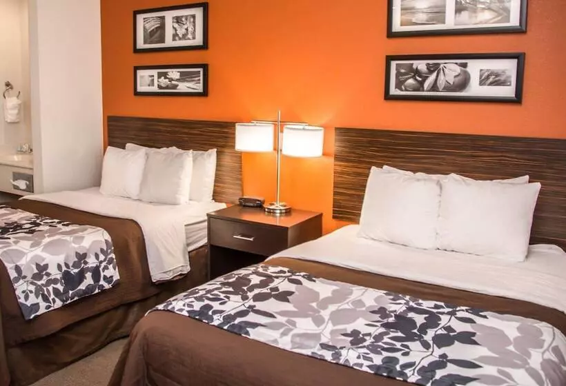 ２ダブルベッドのスタンダードルーム, Sleep Inn & Suites At Concord Mills