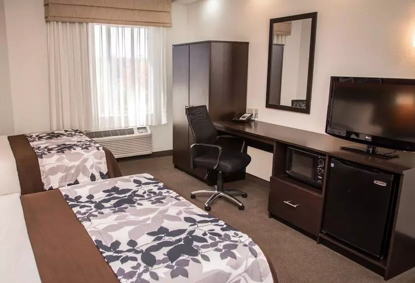 ２ダブルベッドのスタンダードルーム, Sleep Inn & Suites At Concord Mills