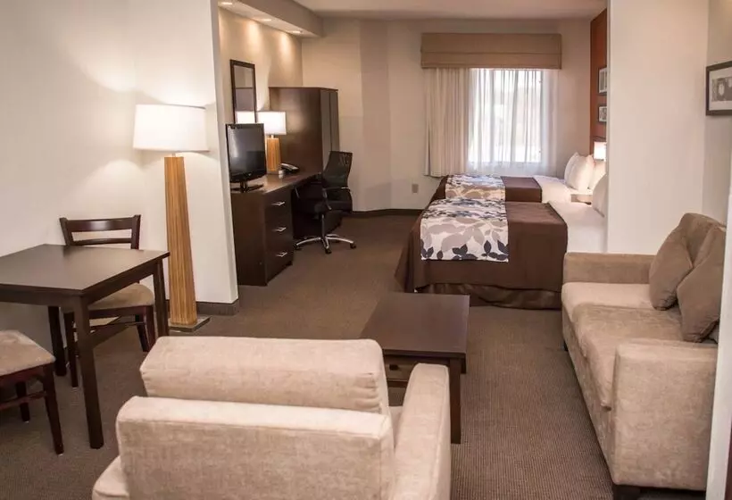 スイート, Sleep Inn & Suites At Concord Mills