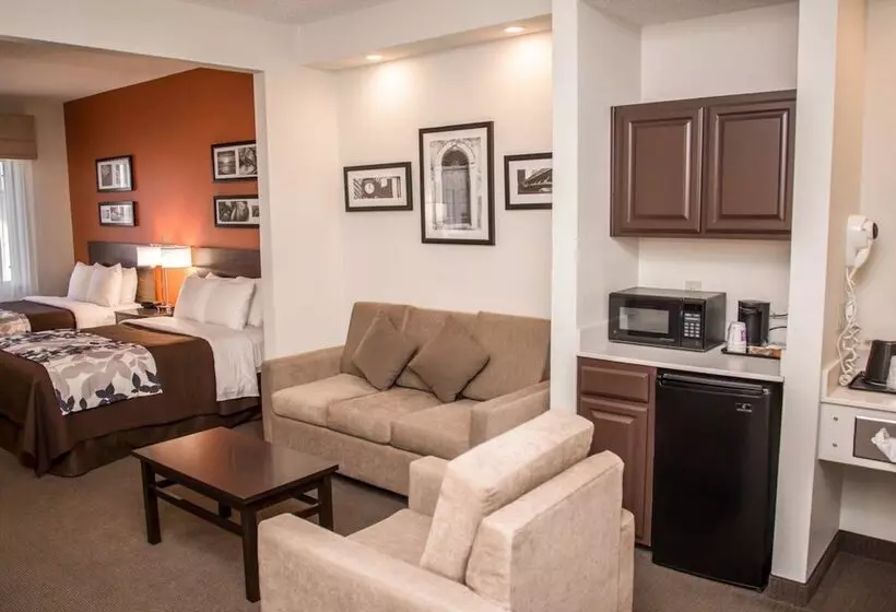 スイート, Sleep Inn & Suites At Concord Mills