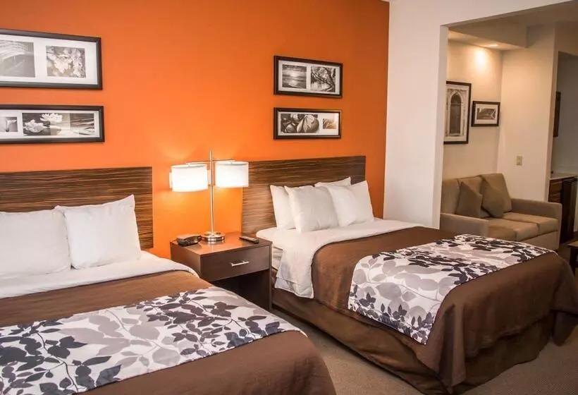 スイート, Sleep Inn & Suites At Concord Mills