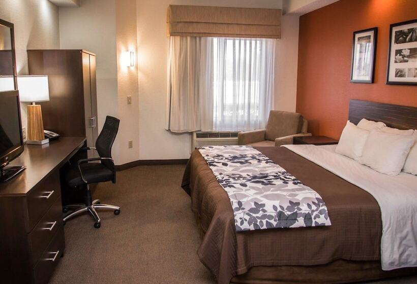 스위트, Sleep Inn & Suites At Concord Mills