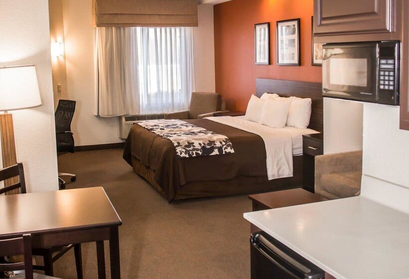 스위트, Sleep Inn & Suites At Concord Mills