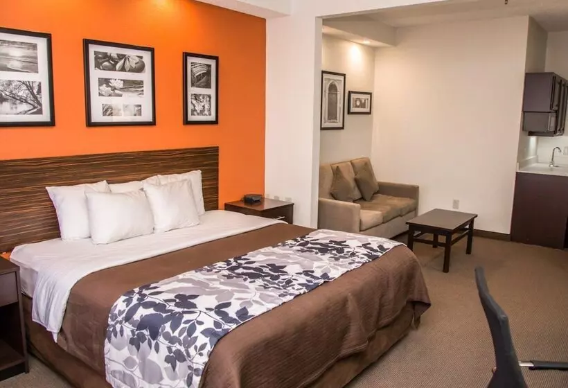 身障者適用スイートルーム, Sleep Inn & Suites At Concord Mills