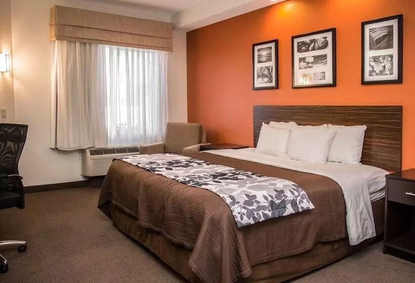 身障者適用スイートルーム, Sleep Inn & Suites At Concord Mills