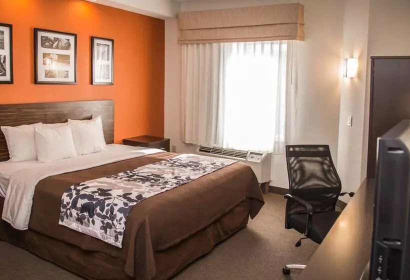 身障者適用スイートルーム, Sleep Inn & Suites At Concord Mills