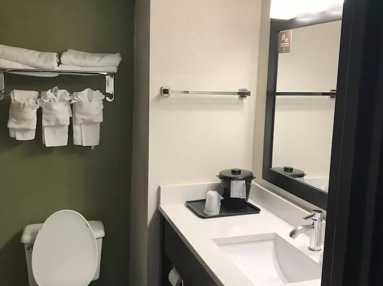 ２ダブルベッドのスタンダードルーム, Sleep Inn & Suites Near Sports World Blvd