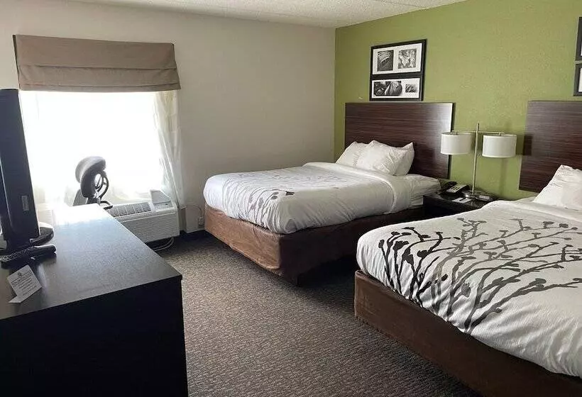 ２ダブルベッドのスタンダードルーム, Sleep Inn & Suites Near Sports World Blvd