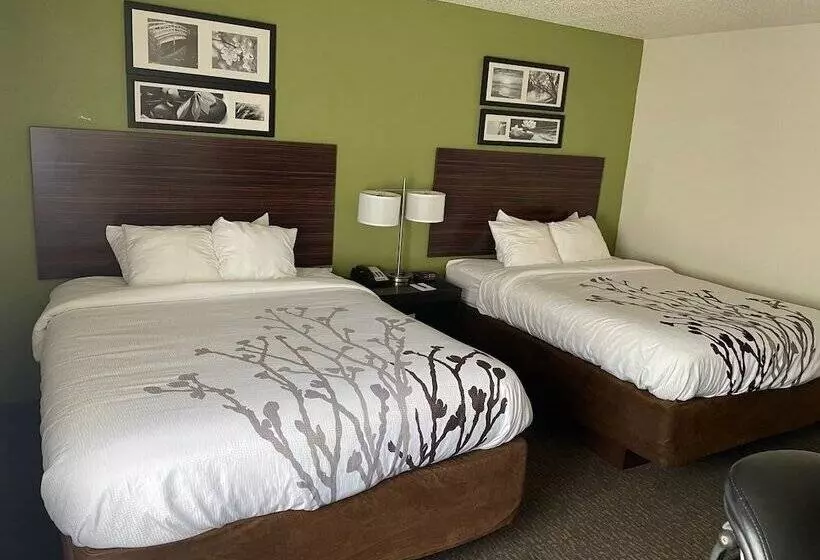 ２ダブルベッドのスタンダードルーム, Sleep Inn & Suites Near Sports World Blvd