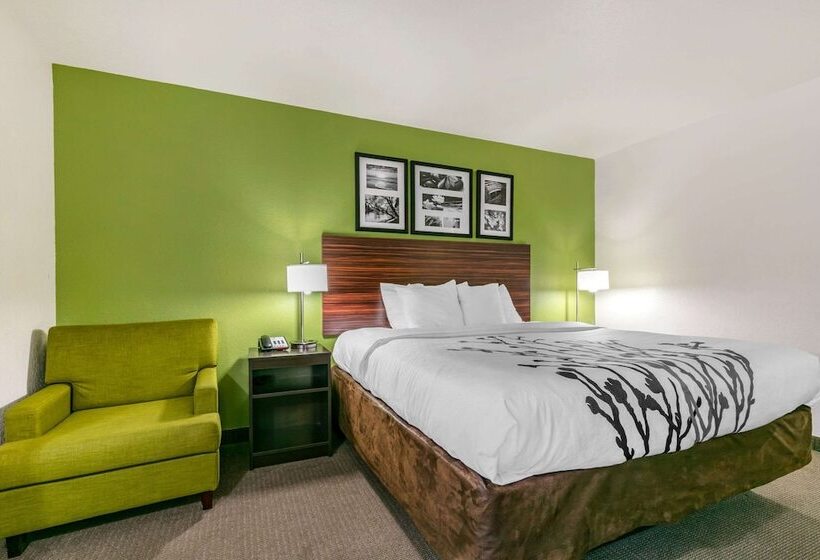 חדר סטנדרט שתי מיטות זוגיות, Sleep Inn & Suites Near Sports World Blvd