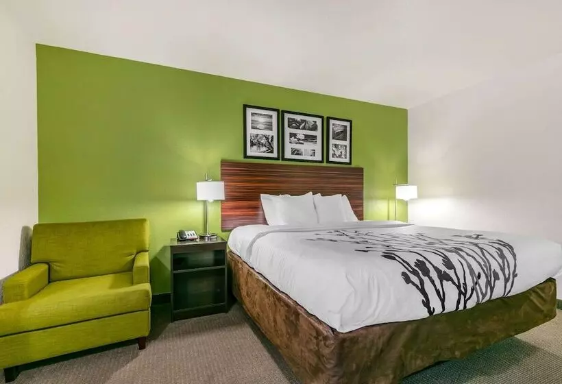 ２ダブルベッドのスタンダードルーム, Sleep Inn & Suites Near Sports World Blvd