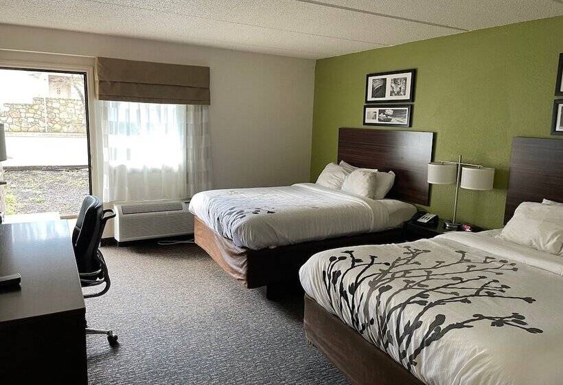 Номер Стандарт 2 Двуспальные Кровати, Sleep Inn & Suites Near Sports World Blvd