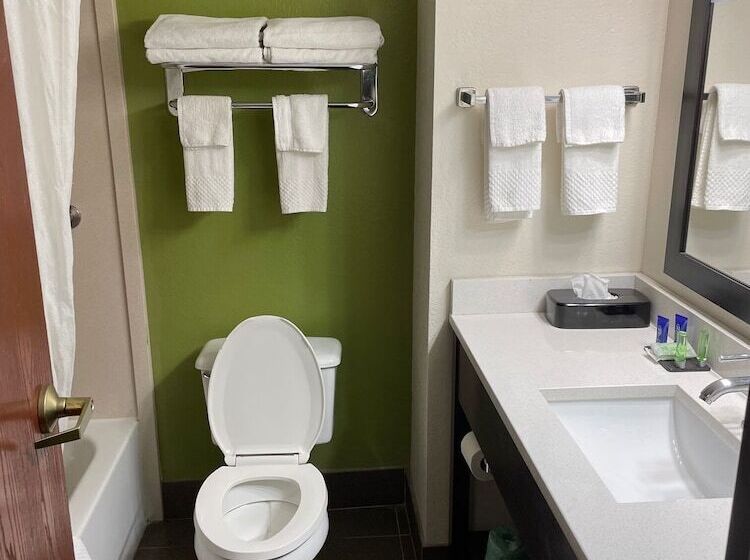 חדר סטנדרט שתי מיטות זוגיות, Sleep Inn & Suites Near Sports World Blvd