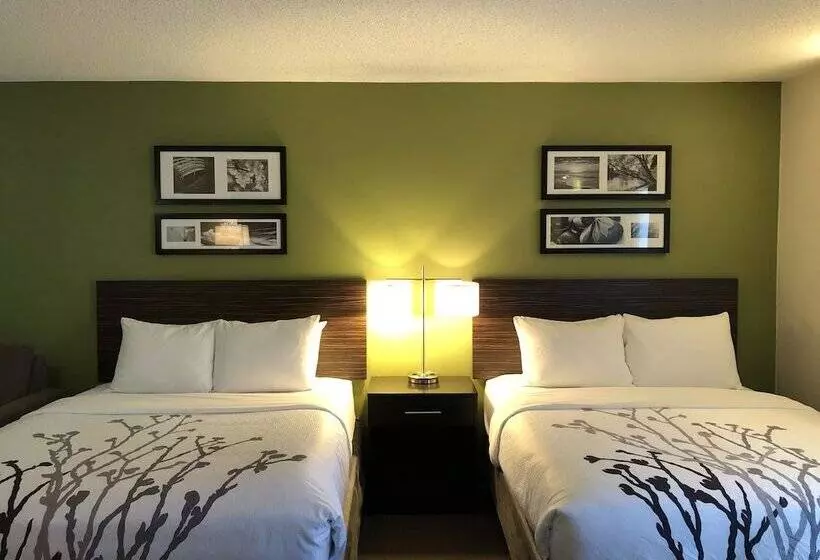 ２ダブルベッドのスタンダードルーム, Sleep Inn & Suites Roseburg North Near Medical Center