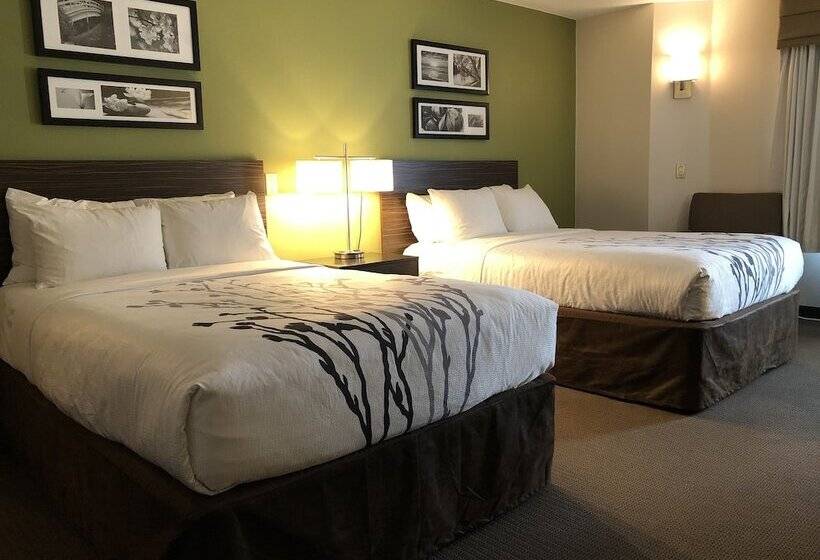 Номер Стандарт 2 Двуспальные Кровати, Sleep Inn & Suites Roseburg North Near Medical Center