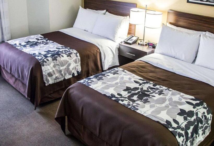 غرفه قياسيه سريرين مزدوجين, Sleep Inn Tinley Park I80 Near Amphitheatreconvention Center