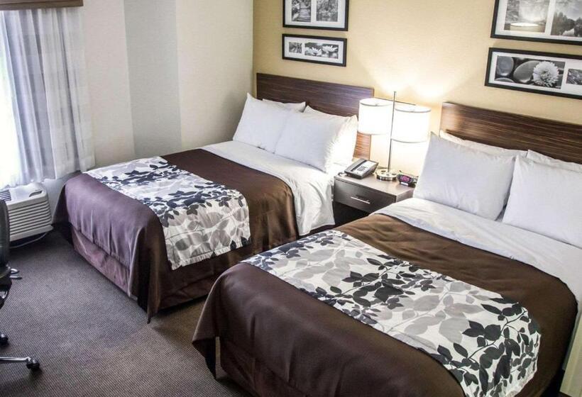 غرفه قياسيه سريرين مزدوجين, Sleep Inn Tinley Park I80 Near Amphitheatreconvention Center