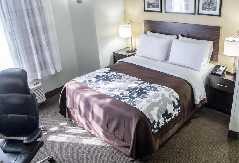 غرفة قياسية, Sleep Inn Tinley Park I80 Near Amphitheatreconvention Center