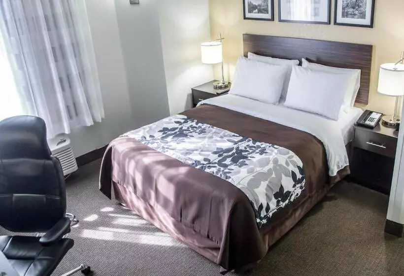スタンダードルーム, Sleep Inn Tinley Park I80 Near Amphitheatreconvention Center