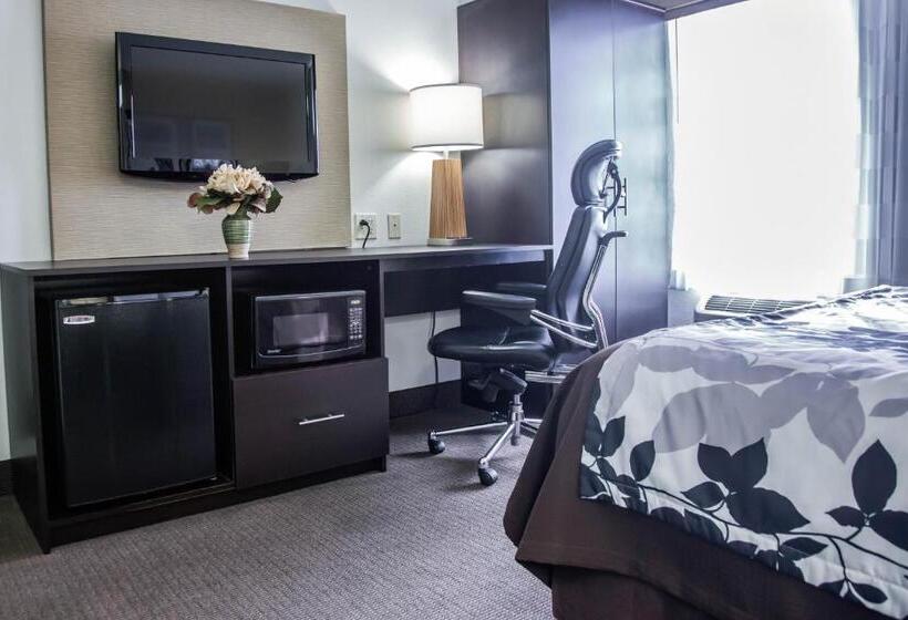 غرفة قياسية, Sleep Inn Tinley Park I80 Near Amphitheatreconvention Center