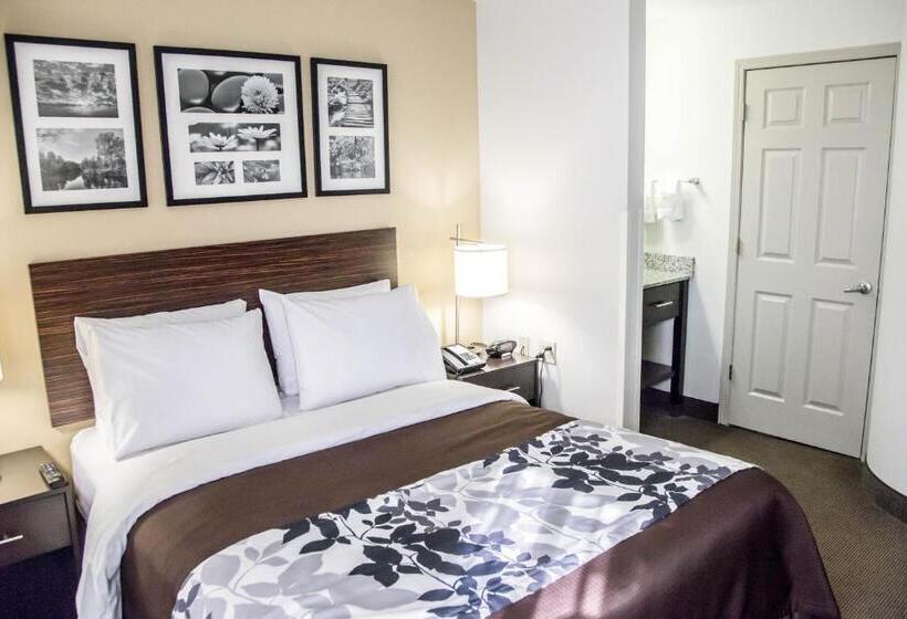 غرفة قياسية, Sleep Inn Tinley Park I80 Near Amphitheatreconvention Center