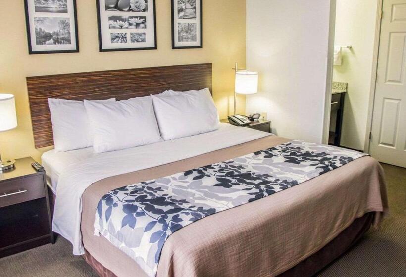 غرفة قياسية لذوى الاحتياجات الخاصة, Sleep Inn Tinley Park I80 Near Amphitheatreconvention Center