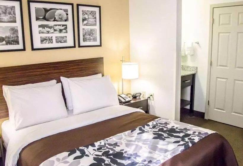 身障者適用スタンダードルーム, Sleep Inn Tinley Park I80 Near Amphitheatreconvention Center