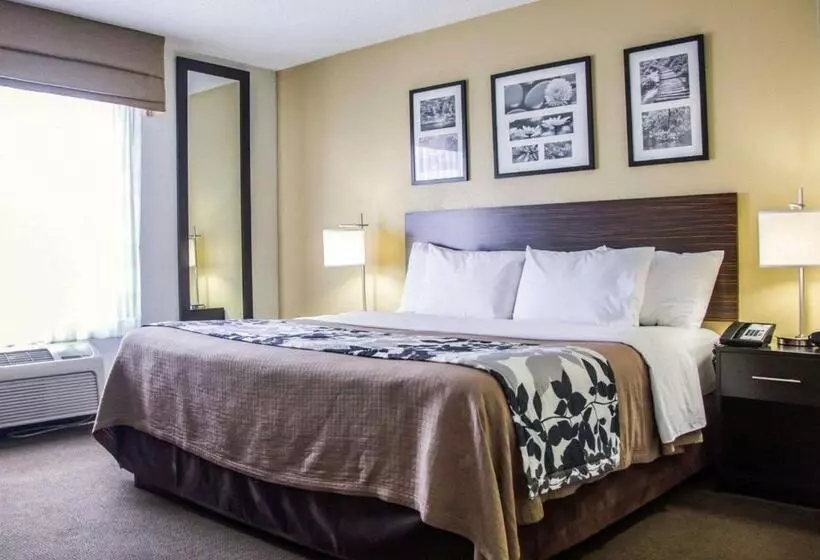 身障者適用スタンダードルーム, Sleep Inn Tinley Park I80 Near Amphitheatreconvention Center