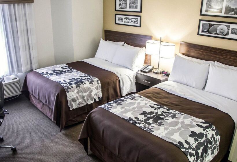 غرفه قياسيه سريرين مزدوجين, Sleep Inn Tinley Park I80 Near Amphitheatreconvention Center