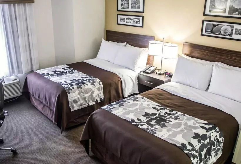 ２ダブルベッドのスタンダードルーム, Sleep Inn Tinley Park I80 Near Amphitheatreconvention Center