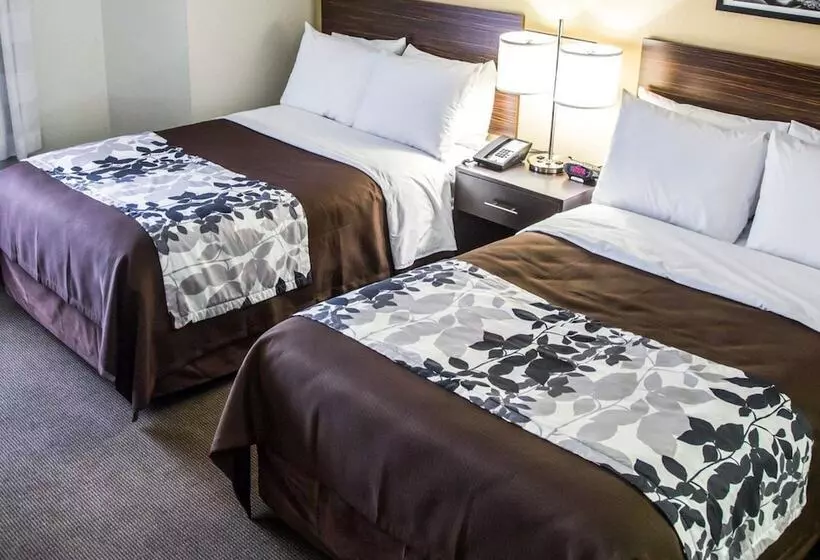 ２ダブルベッドのスタンダードルーム, Sleep Inn Tinley Park I80 Near Amphitheatreconvention Center