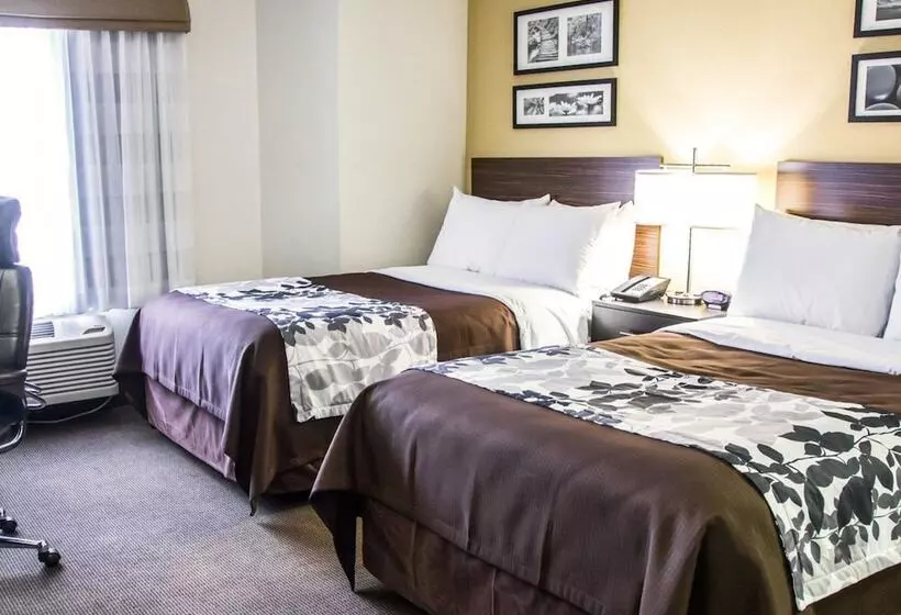 ２ダブルベッドのスタンダードルーム, Sleep Inn Tinley Park I80 Near Amphitheatreconvention Center
