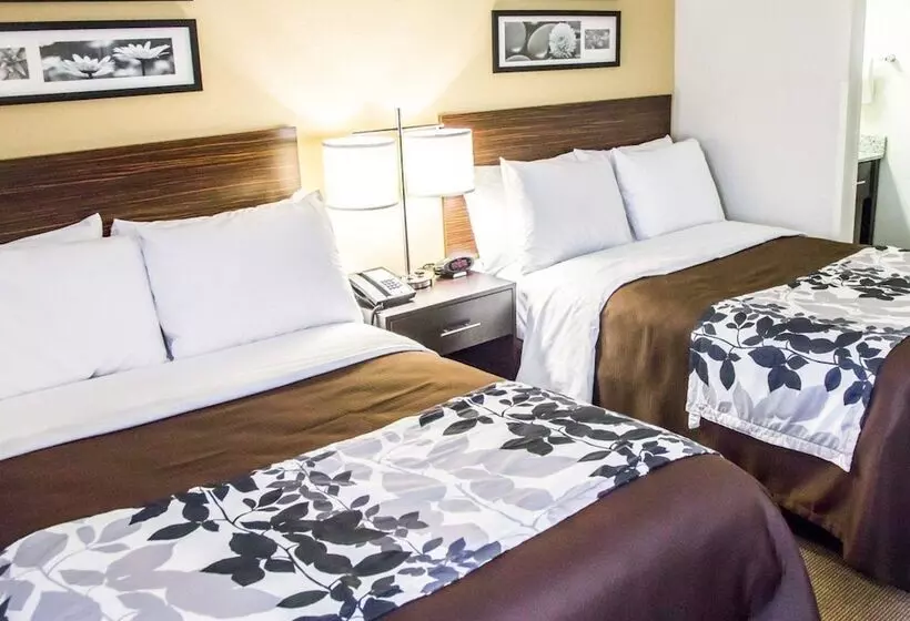 ２ダブルベッドのスタンダードルーム, Sleep Inn Tinley Park I80 Near Amphitheatreconvention Center