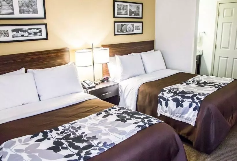 ２ダブルベッドのスタンダードルーム, Sleep Inn Tinley Park I80 Near Amphitheatreconvention Center