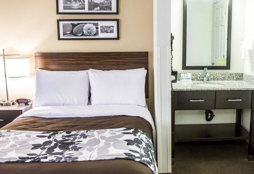 غرفه قياسيه سريرين مزدوجين, Sleep Inn Tinley Park I80 Near Amphitheatreconvention Center